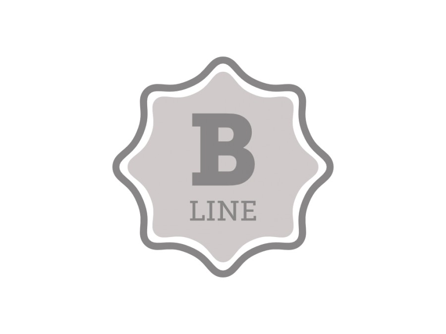 94742_LOGO_BLINE