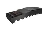 55356_SKF-BELT-ISO-WEDGE-CRE