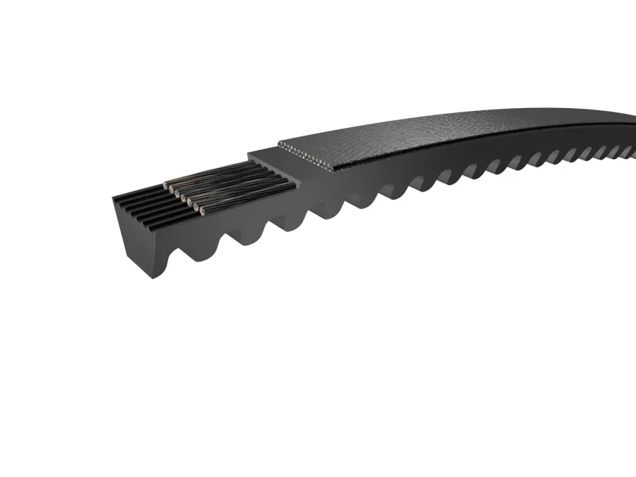 87818_SKF-BELT-NARROW-WEDGE-CRE